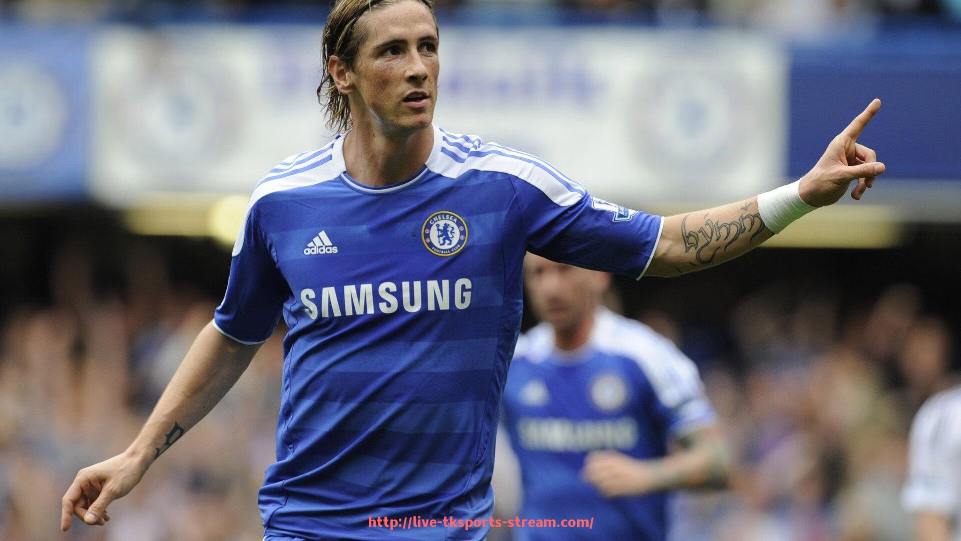 TK体育直播-法甲球迷忠诚度调查及球迷文化研究